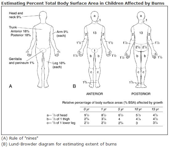 Lund-Browder_chart-burn_injury_area.PNG