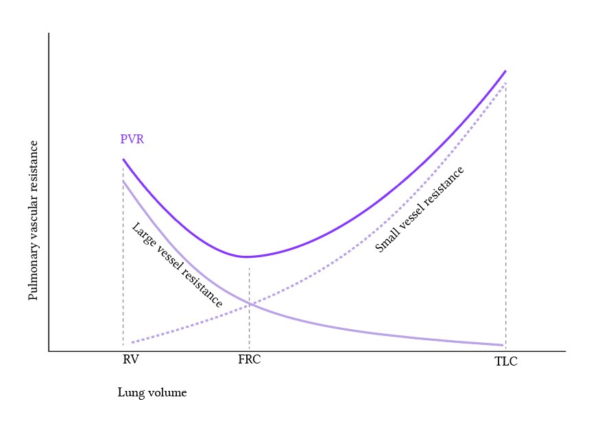 relationship of lung volume and pulmonary vascular resistance.jpg