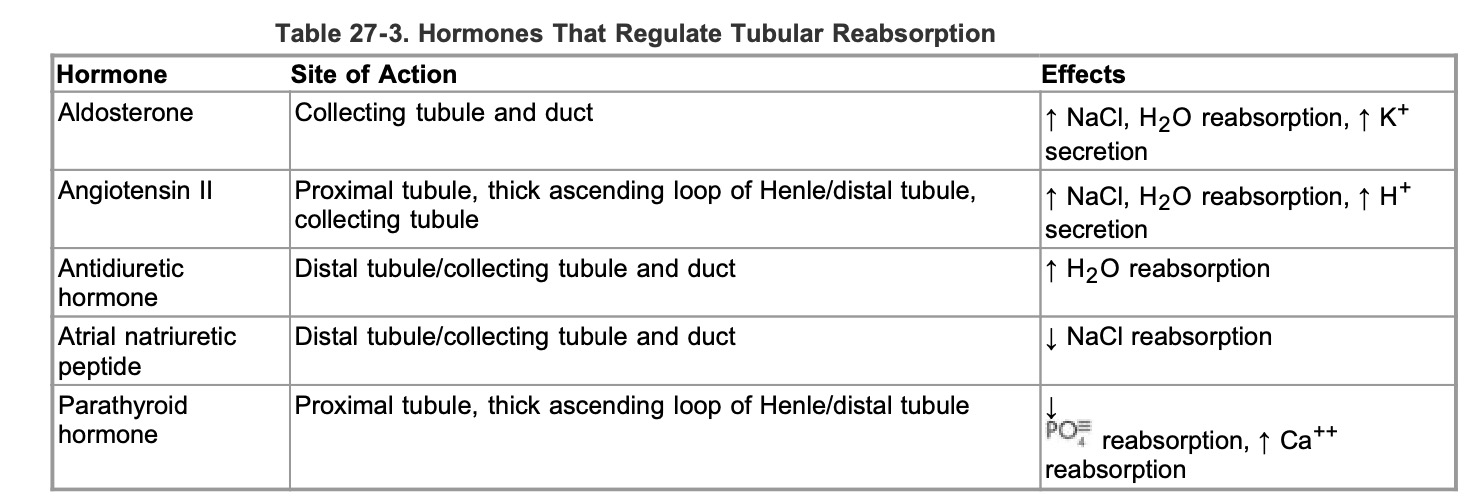 water reabsorption renal hormones guyton.jpg